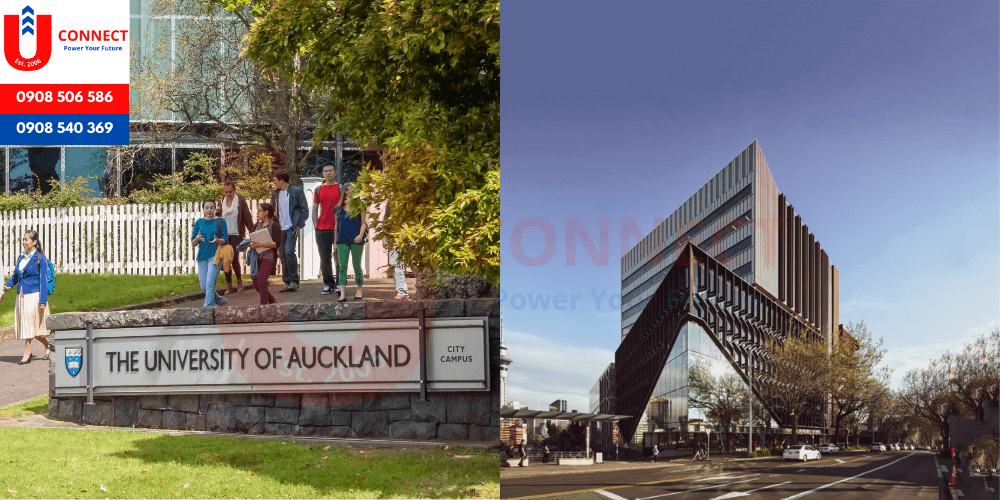 Đại học&nbsp;Auckland (University of Auckland), Auckland - New Zealand